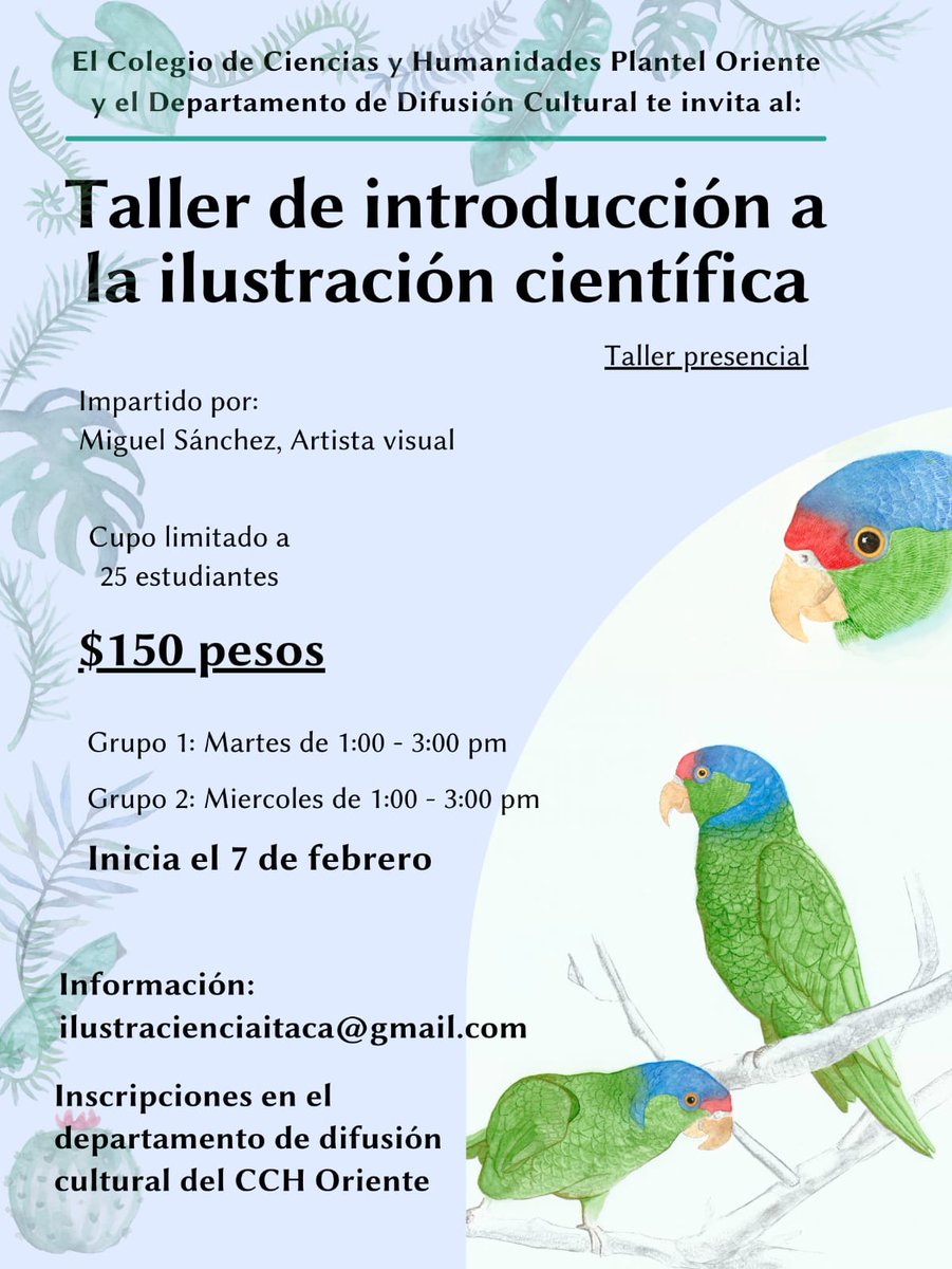 CCHOte_UNAM's tweet photo. ¿Te gustaría aprender sobre el grabado en alto relieve o ilustración científica? ¡Eso y mucho más aprenderás con los siguientes cursos culturales que el plantel tiene para ti! 😎👇🏻 https://t.co/xhzqI8RY2J