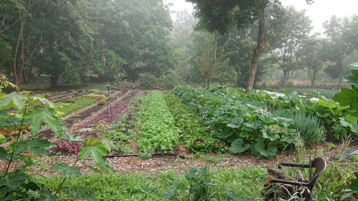 ♦ Sir Adam ♦ tweet media