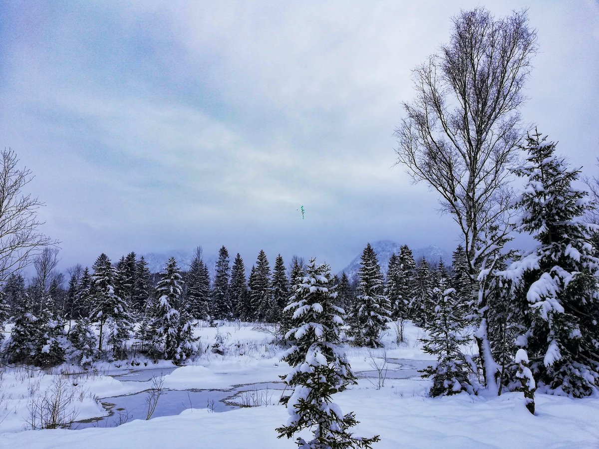 Kommt gemütlich ins Wochenende.
Schönen Abend!