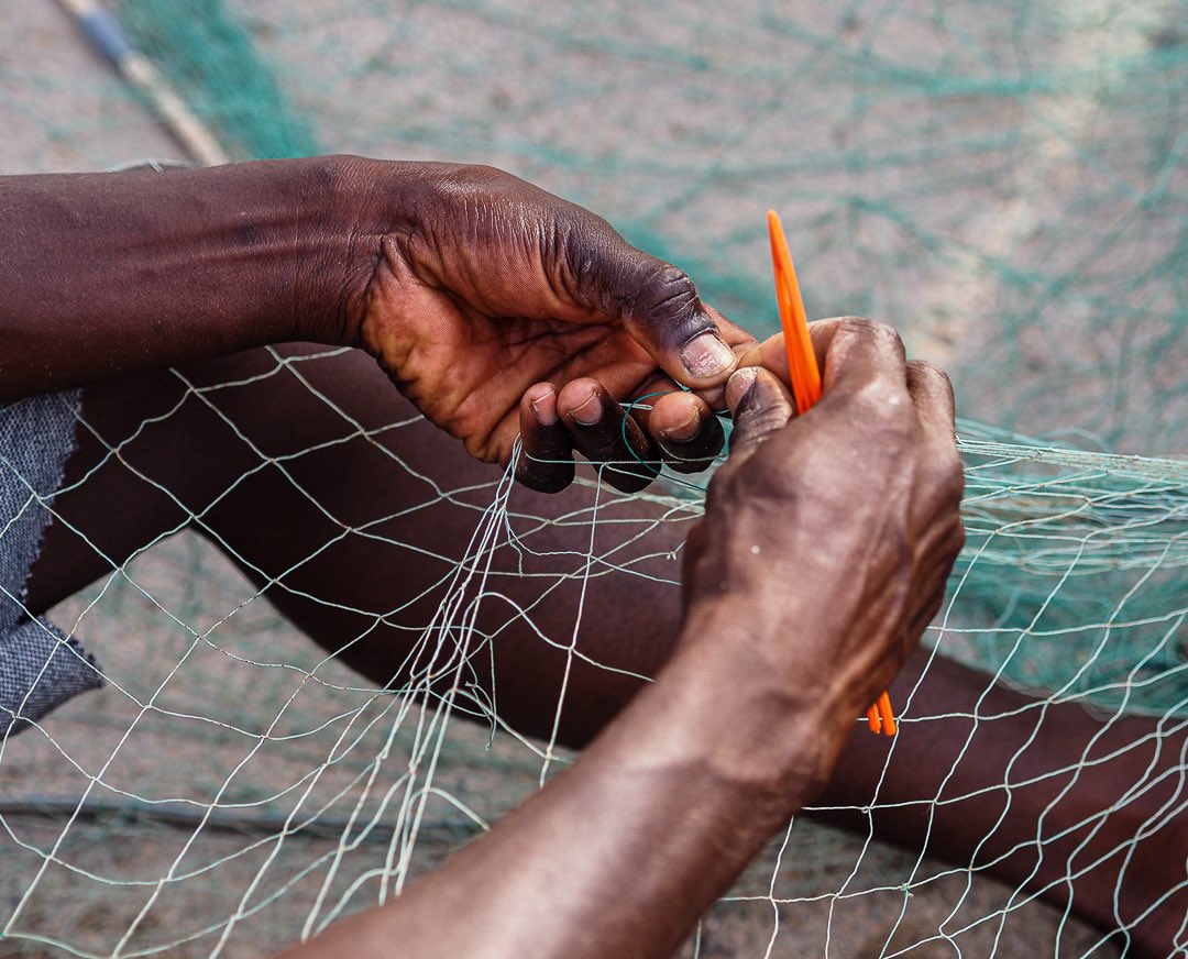 inesmdlp tweet media