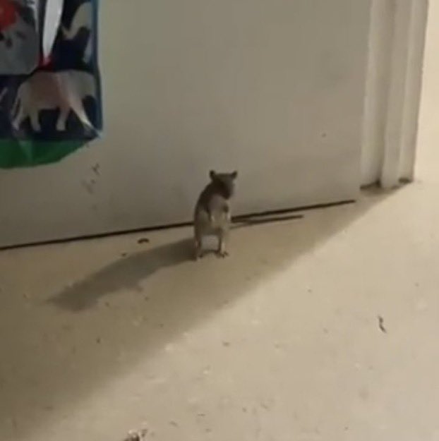 Brooo ain’t no way this nigga dead stood up at the end like “yo you up?”