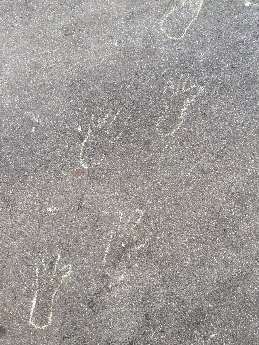 What a week for KS1!  After finding out a spacecraft crashed in our garden, the children investigated what had happened.  We found a little alien called Beegu.  Poor Beegu!  Now we know what happened to her, we can help her to get back home safely.