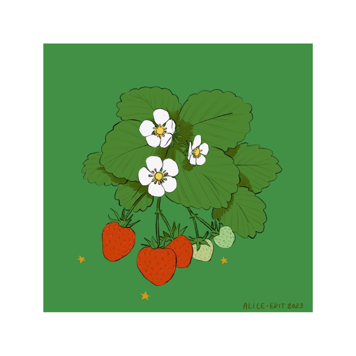 helloaliceedit's tweet photo. 🍓🍓🍓 https://t.co/bLy806dP9g
