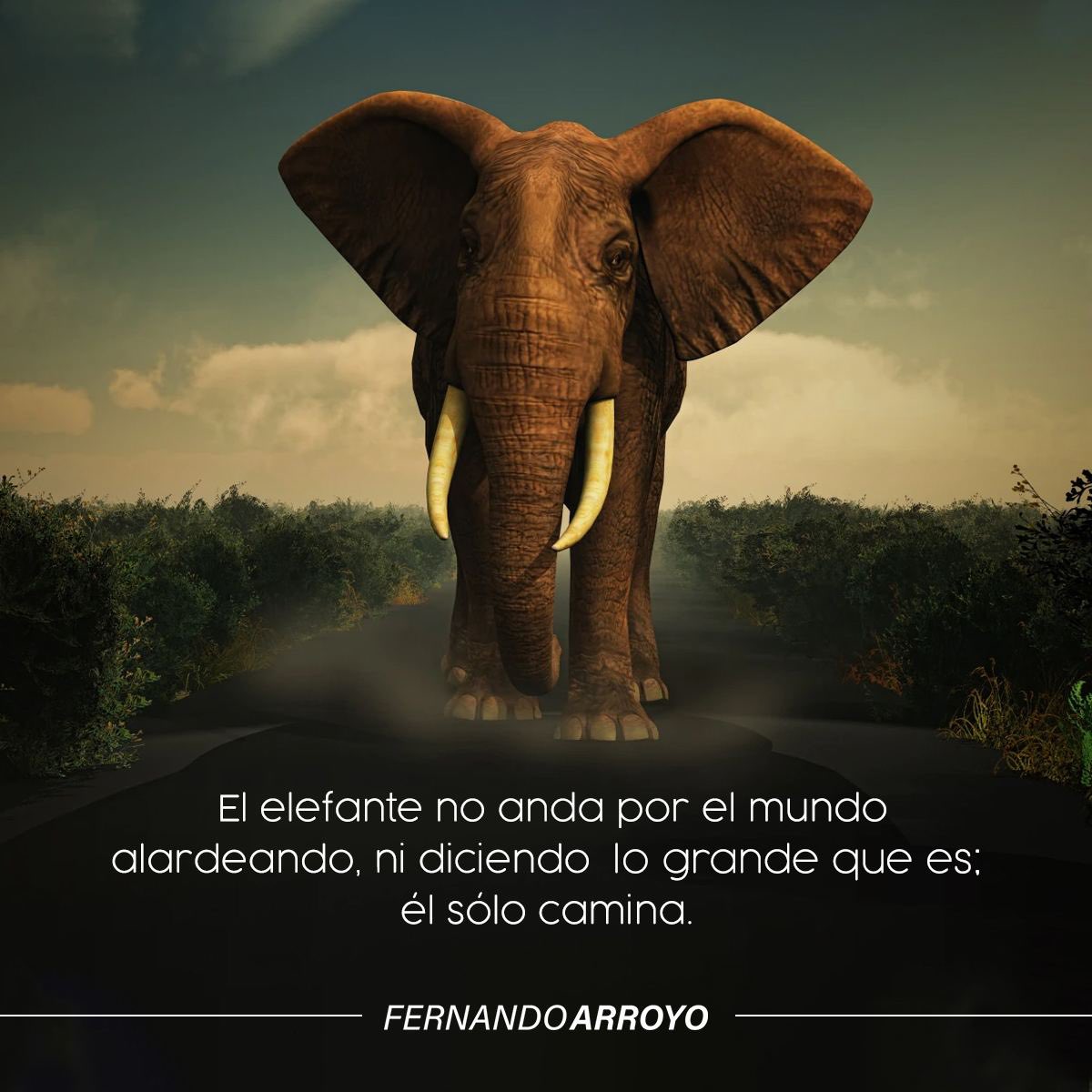 Sé discreto, profesional y amoroso con la vida; entenderás que la #grandeza se mide en acciones y no en palabras. #FelizViernes