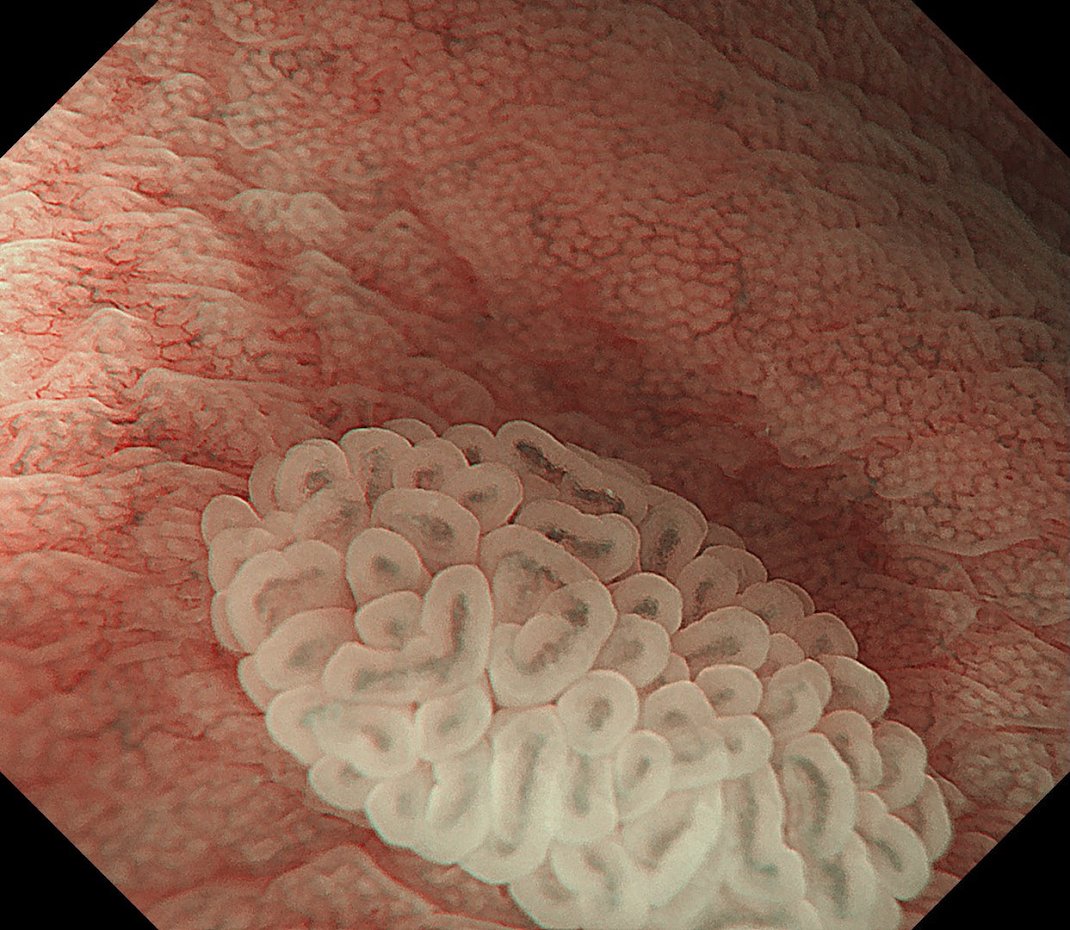 Yaroslav Dombrovsky 🇺🇦 tweet media