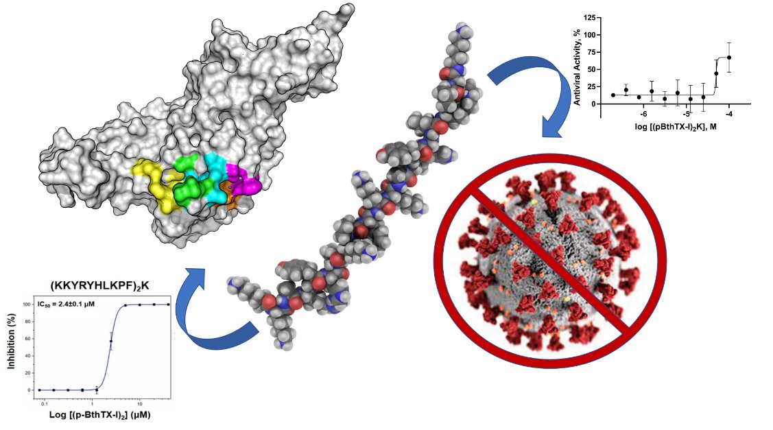 Molecules_MDPI's tweet photo. #HighlyCitedPaper #HighlyAccessedPaper
Title: Non-Toxic Dimeric Peptides Derived from the Bothropstoxin-I Are Potent SARS-CoV-2 and Papain-like Protease Inhibitors
By: Glaucius Oliva et al.
👉https://t.co/CbWhQ15sDK
📌#COVID-19 #SARS-CoV-2 #inhibitors #Papain-likeprotease https://t.co/PMe5XQZyxO