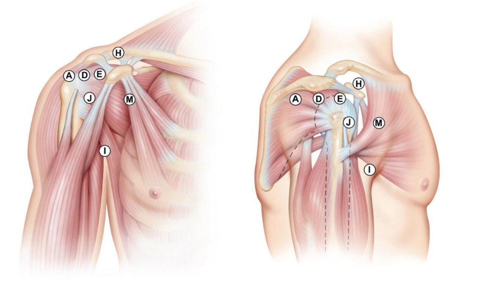 In this study, researchers share their findings on the arthroscopic #latarjet learning curve: Operating time decreases after 25 cases. medilink.us/x45y  #medtwitter