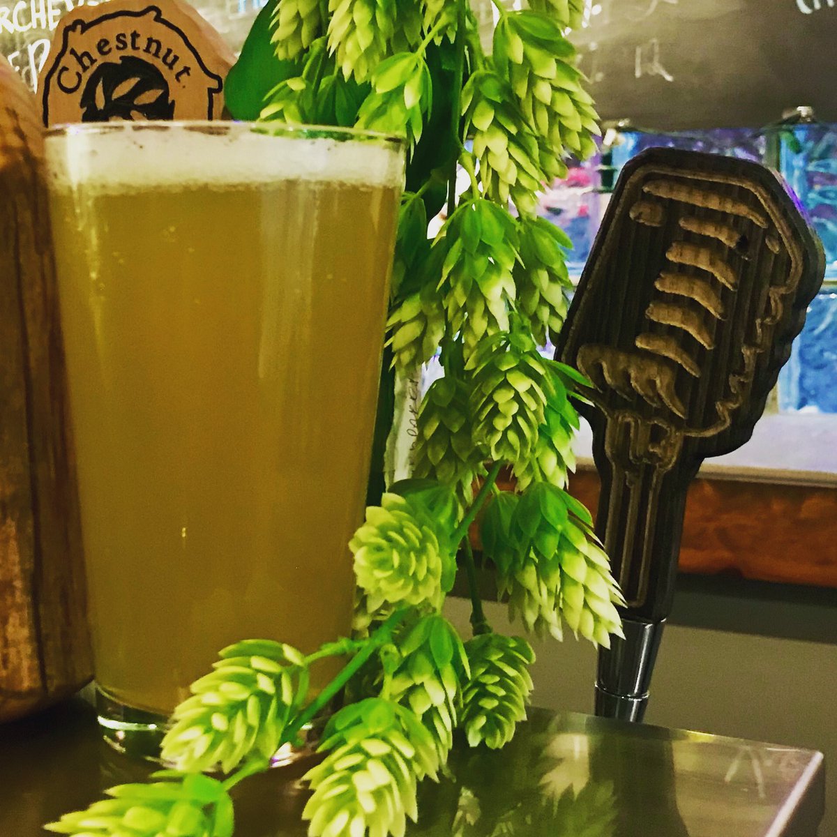 ChestnutBrews's tweet image. Kerchev-ale, a dry-hopped ‘Appalachian Pilsner’ brewed to celebrate WV radio great @HoppyKercheval, is BACK ON TAP at the taproom. It’ll go fast so grab it while you CAN!! Want to see #hoppykerchALE at your local WV joint? Let us Know! @TonyCaridi @bradhowe07 #wvcraftbeer