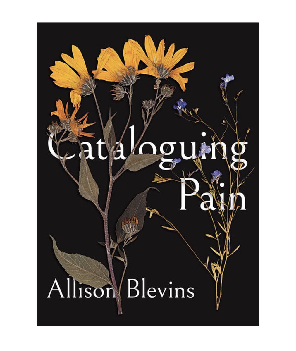 fcea_online's tweet photo. This FCEA Spotlight is on Allison Blevins' upcoming book Cataloguing Pain❗️

Cataloguing Pain explores motherhood, sexuality, and queerness as it juxtaposes the author’s diagnosis of MS with her partner’s gender transition.
Find out more here: 
https://t.co/3kKlX0B1i8 https://t.co/EjC47CoVW6