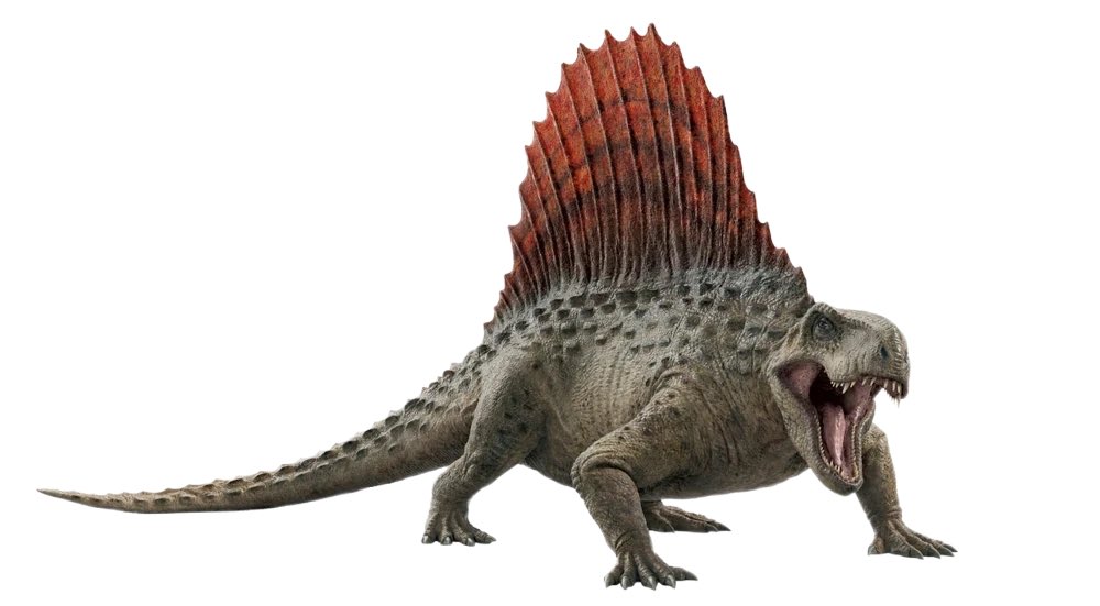 Pat_Conway98's tweet photo. @Xavier8948 Not a Dinosaur just a mammal like reptile from 280 MYA, Dimetrodon https://t.co/2Xzx4Ou1zm