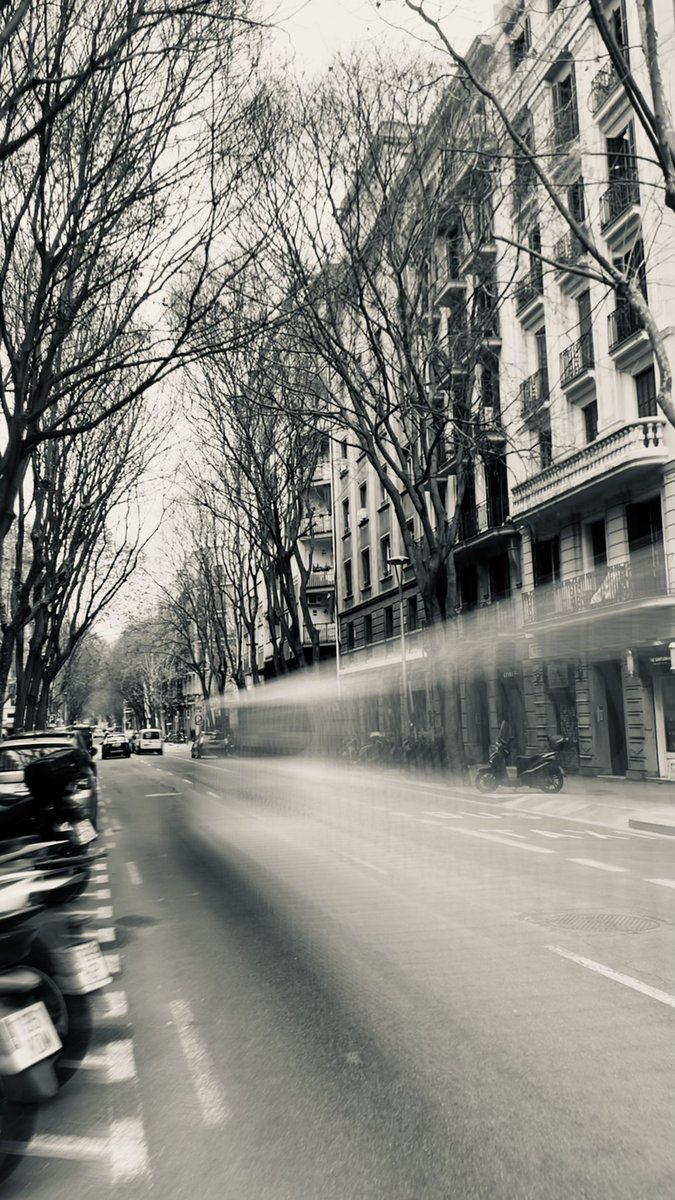 stefyft's tweet photo. Fragmentos del ahora…✨ #Barcelona https://t.co/b7l2GQLYLz