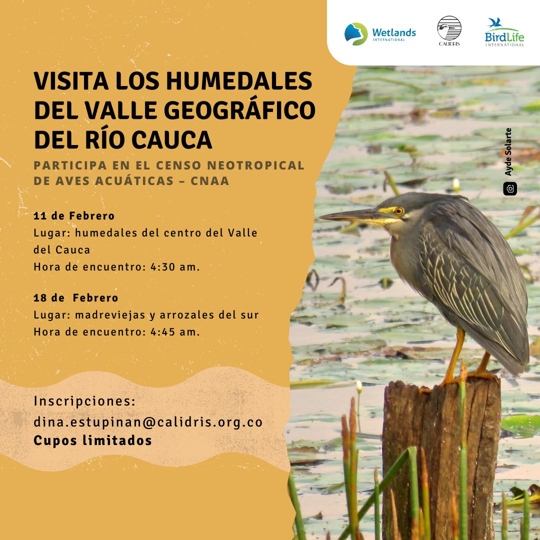 Asociación Calidris tweet media