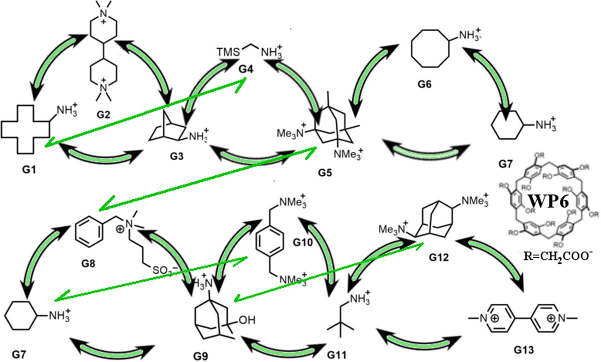 procacci61's tweet photo. Our paper on relative dissociation free energies with #GROMACS between dissimilar molecules tested on #SAMPL9 is finally out https://t.co/pZq3cJ4xng. Check out the tutorial https://t.co/yavQFldzJB and toolkit and data at https://t.co/h5A5Lnk7GQ

#compchem @Cineca1969 https://t.co/dbHk4ZviNj