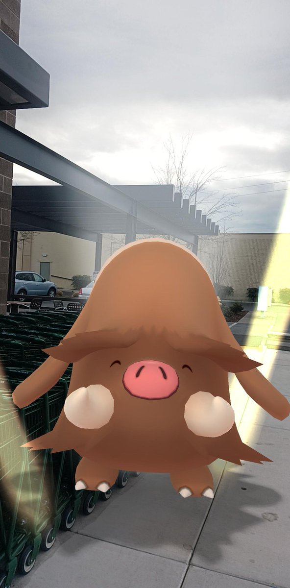 Ygaf2019's tweet photo. My buddies got his #favoritetreat #apuffin #adorable #PokemonGOApp #PokemonGOFriend https://t.co/8PL7nNwFeI