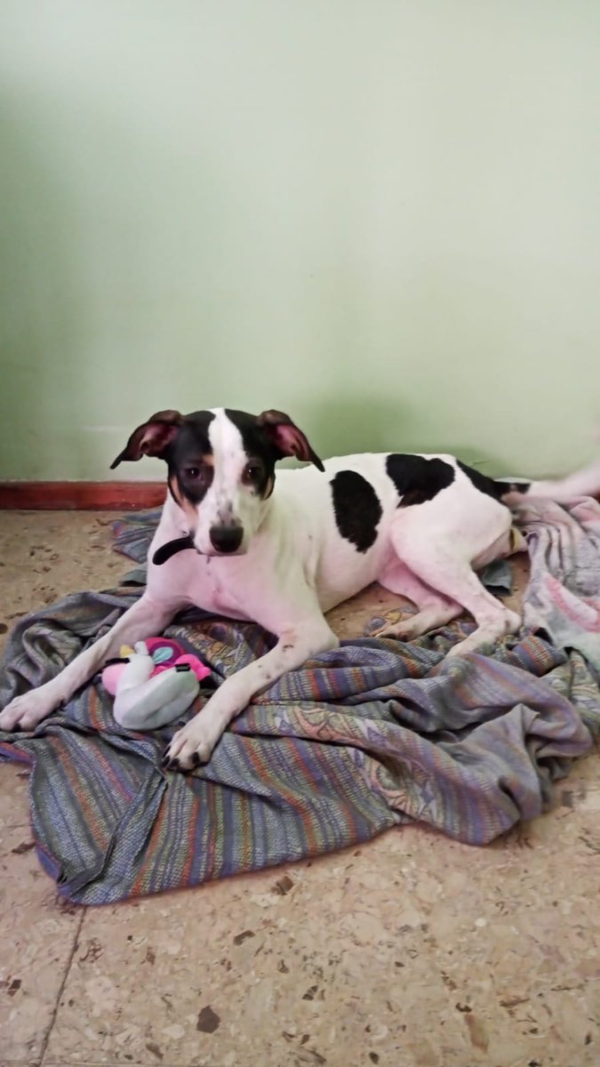 Mati Fusco tweet media