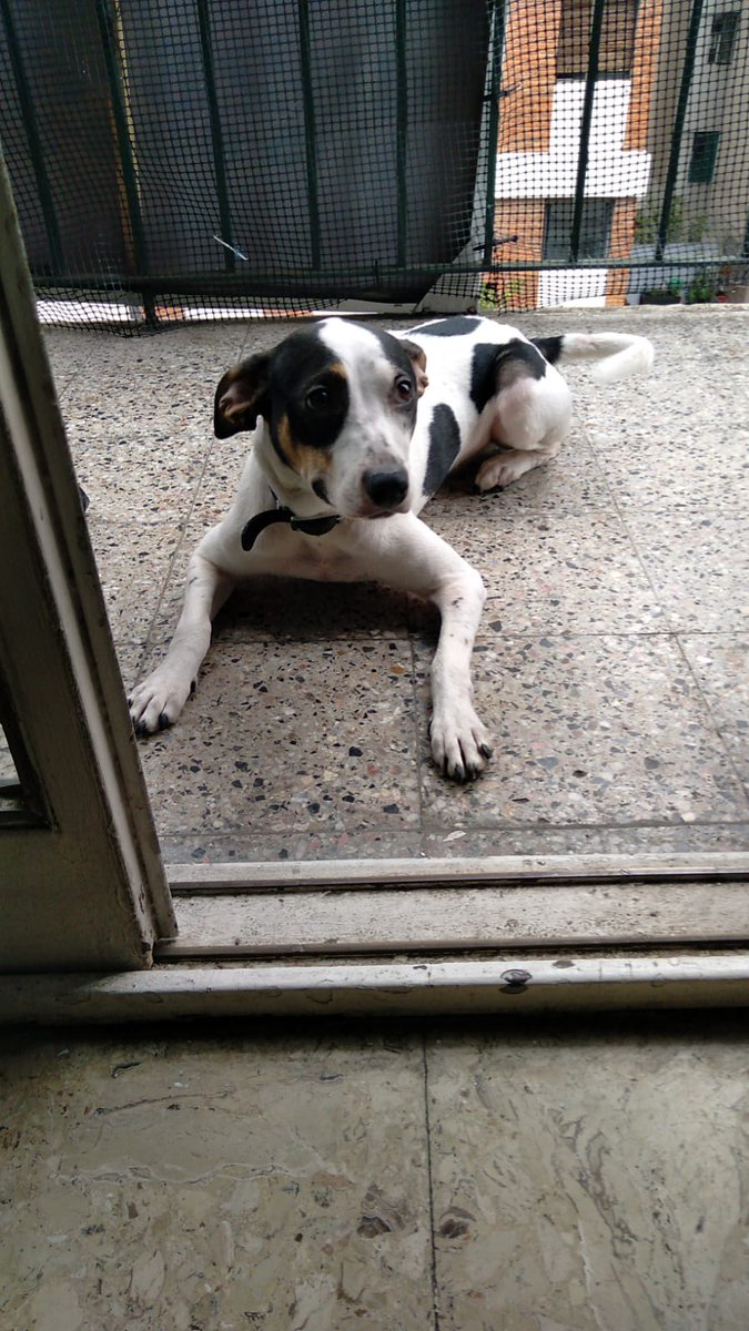 Mati Fusco tweet media