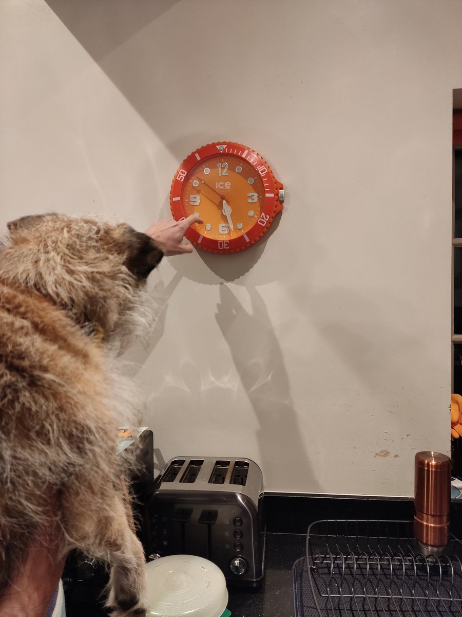 BTWoody's tweet image. Hoodad finks we can't tell the time, goin' on about "when the big hand points straight up and the little hand points straight down". We nose full well wot the time is, we just want dinner half an hour early #pfft