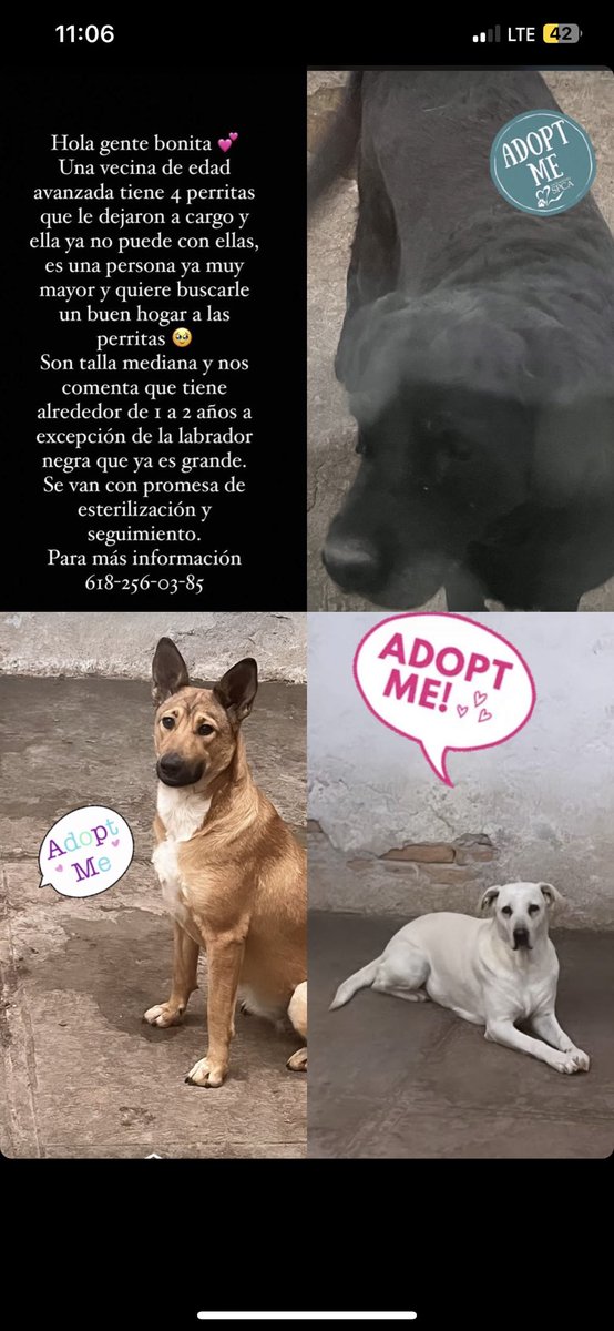 drvgl's tweet photo. me ayudan a dar RT?🥹🙏🏼

#Durango https://t.co/4XwUR5oPt2
