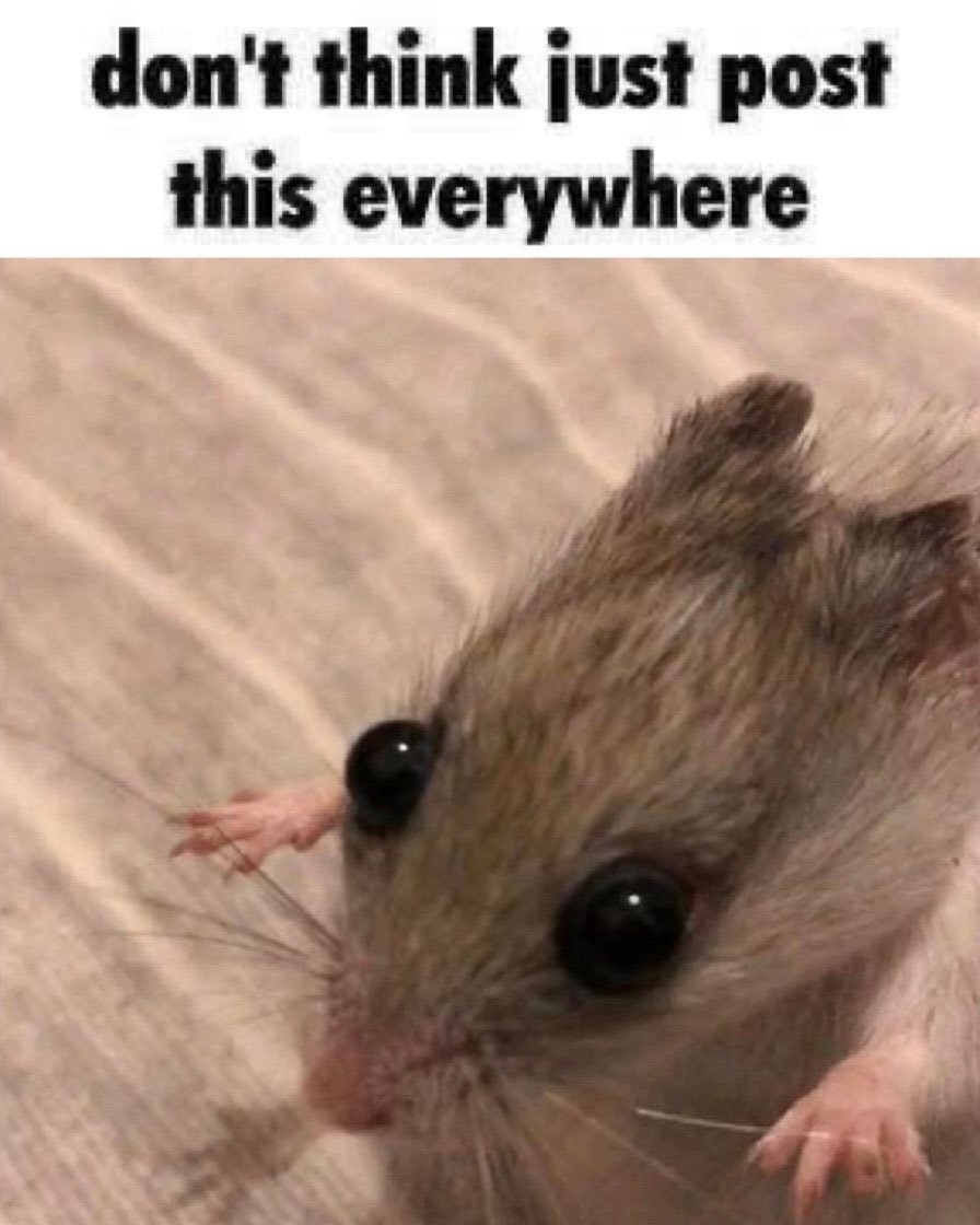 𝙀𝙨𝙢𝙚𝙧𝙖𝙪𝙙𝙚. (@legerlty) on Twitter photo 
