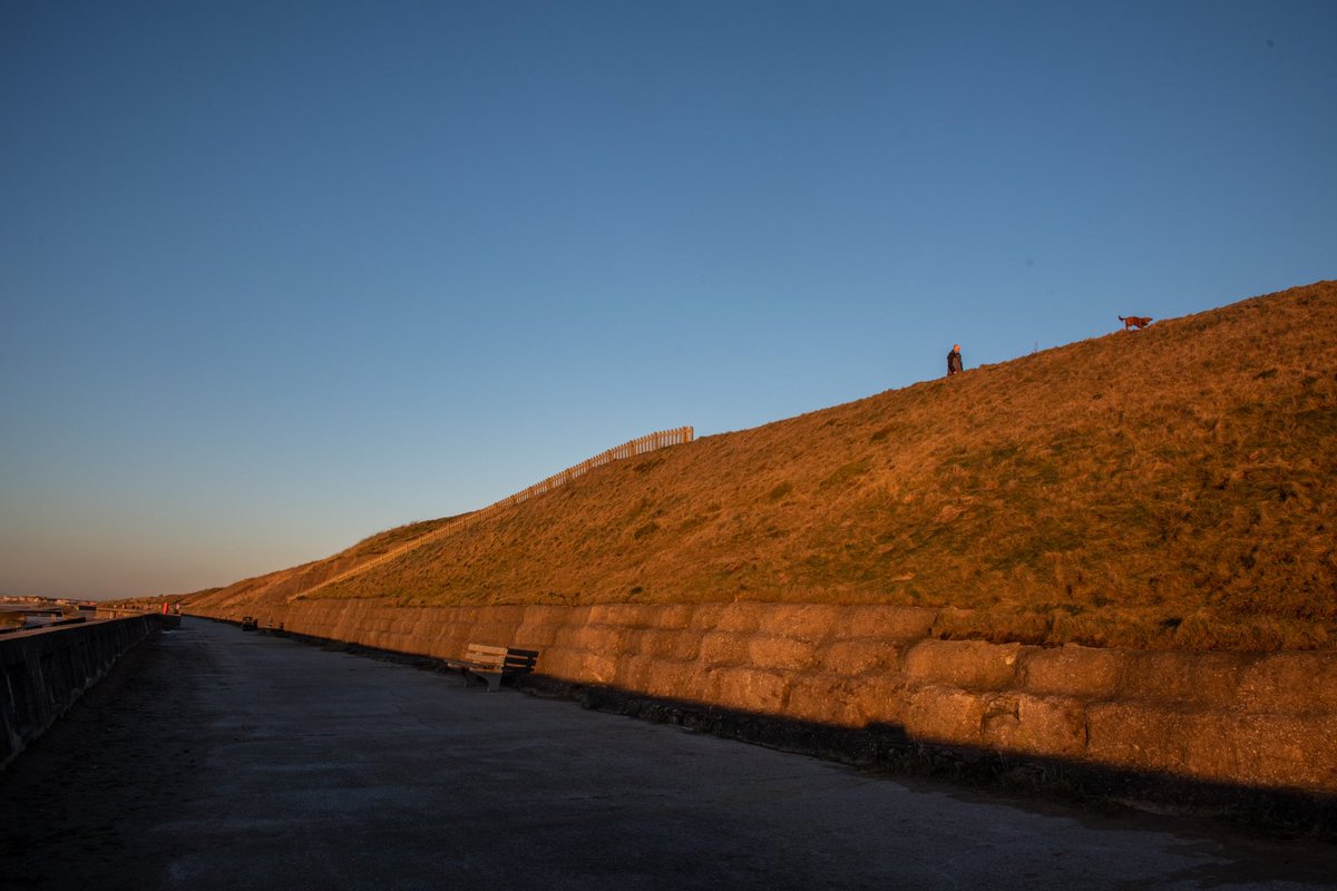 jillreidy's tweet photo. @365_in_2023 #365in2023 #365in2023dailyprompt #fulvus Sunset on the prom from a late afternoon walk last week #thatgoldenlight https://t.co/WAoipRhAuP