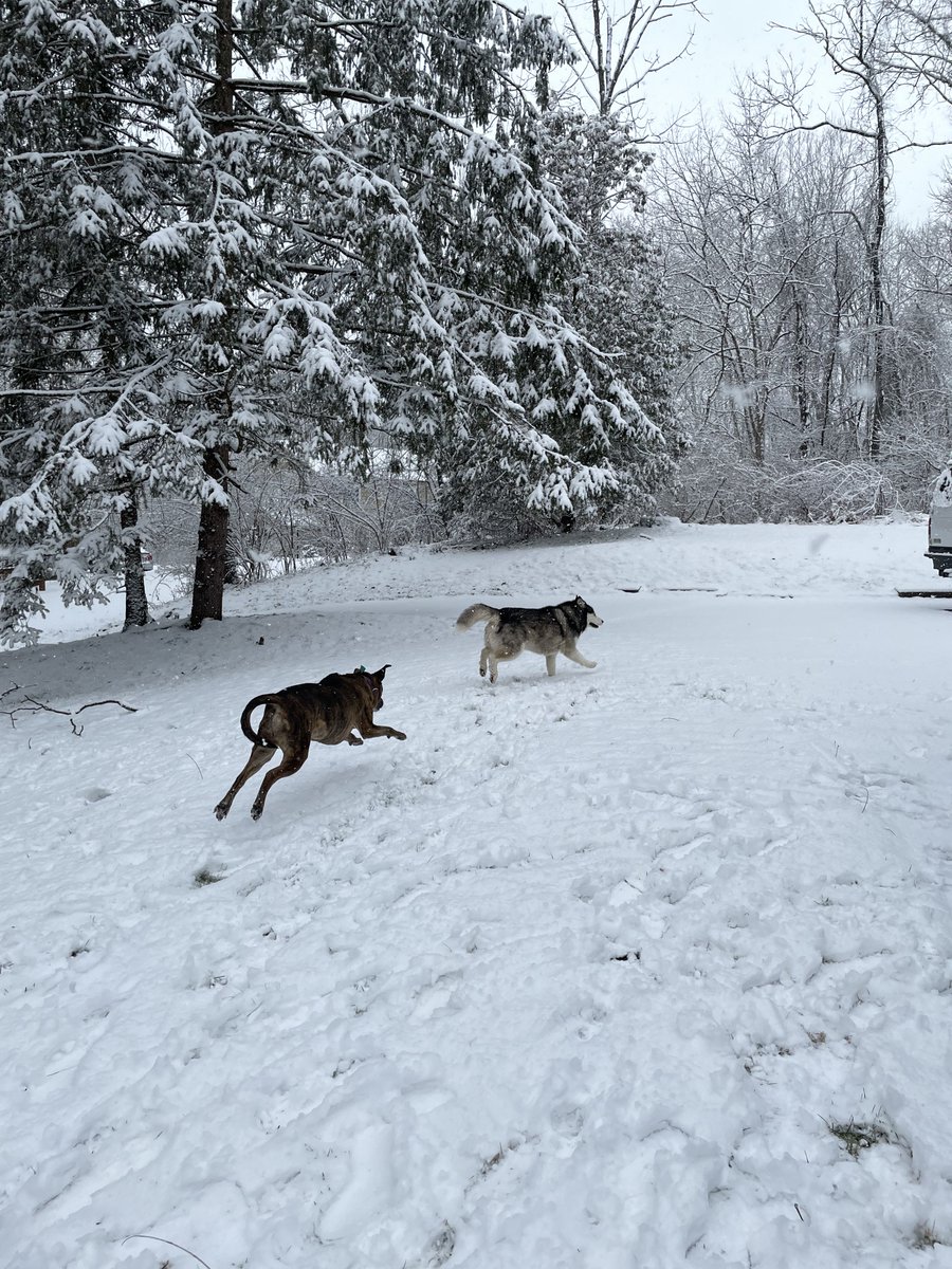 espressoobeann's tweet photo. Cute snow day this week https://t.co/BcGt3wz93A