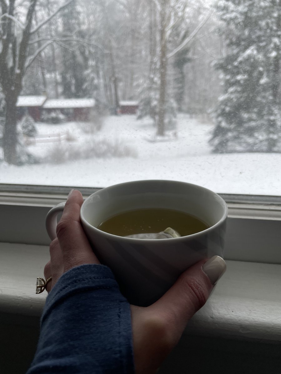 espressoobeann's tweet photo. Cute snow day this week https://t.co/BcGt3wz93A