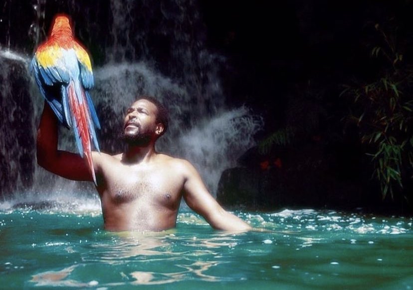 Tim Head tweet media