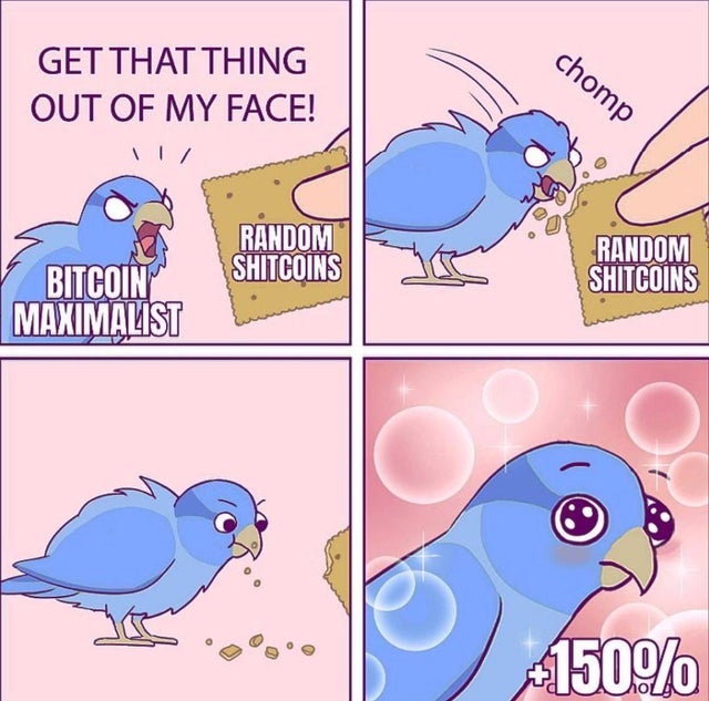 Hayle NFT tweet media