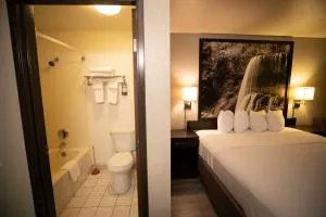 HereTogether tweet media