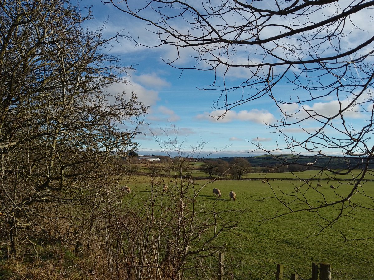 MsPTeach1's tweet photo. On a course today that ended early so went for a walk before picking up my daughter from school. This additional 30 minutes outside has made a huge difference to my weekend. https://t.co/rPHsCDXcHw