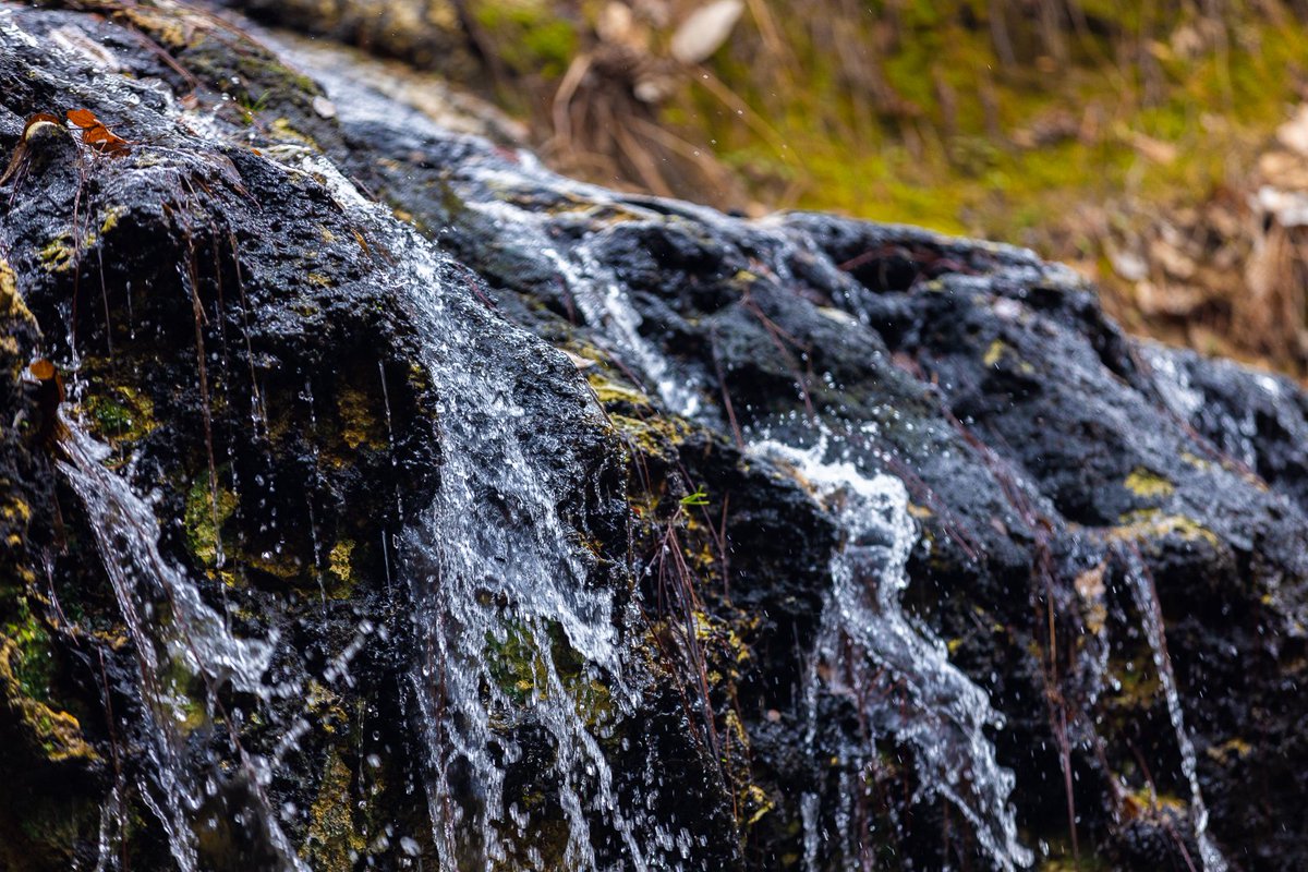 HunterKfptc's tweet photo. Falling Waters State Park #Nature #photography #digitalvideotech #florida #waterfall #Canont90d #Mirrorless https://t.co/csxFJQrBqT
