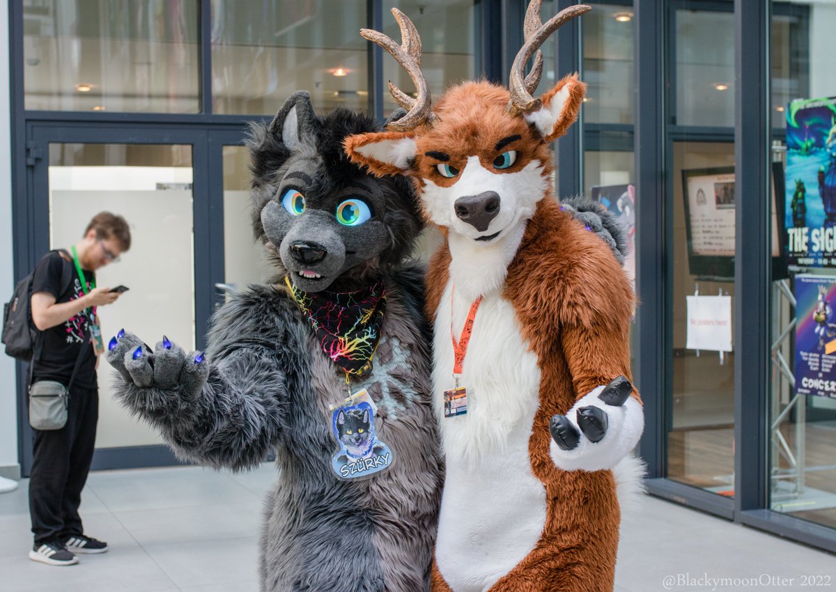 On this #FursuitFriday a Deer, a Wolf &amp; a Collie come into a bar ... no, that's wrong ... come into a Con! Being 3 very sweet fluffers, absolutely adorable &amp; huggable❤️

📌: <a href="/CollieToyInsp/">Mason 💙💛</a> <a href="/SzurkyWolf/">Szürky Farkas @NFC</a> <a href="/Noweti/">Noweti / Deerweti</a>
✂️: @FurTheWin <a href="/LunoWroo/">Wildspotworks Fursuits 💙💛</a>
📸: <a href="/BlackymoonOtter/">Blackymoon 🔜 EF2025</a>
🔗: #Furry #Fursuit #EF25