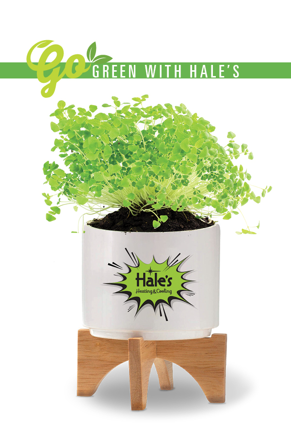 HalesHeating&Cooling tweet media