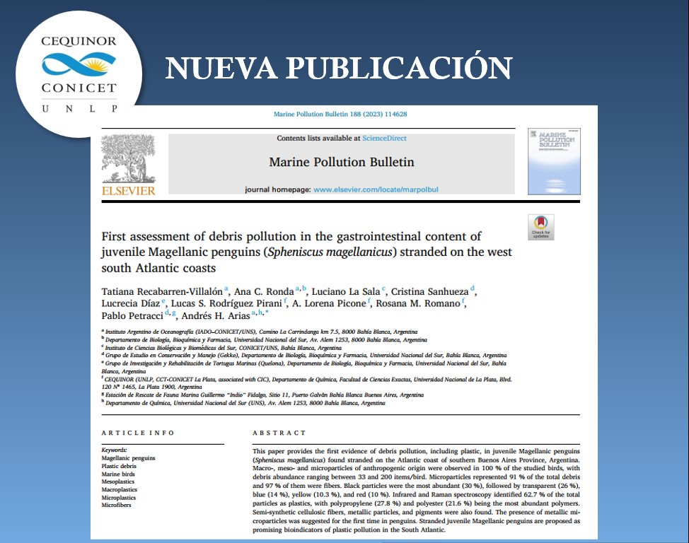 📄NUEVA PUBLICACION:
First assessment of debris pollution in the gastrointestinal content of juvenile Magellanic penguins (Spheniscus magellanicus) stranded on the west south Atlantic coasts.
doi.org/10.1016/j.marp…
<a href="/CONICETLaPlata/">CONICET La Plata</a> <a href="/unlp/">UNLP</a> <a href="/CICPBA/">Comisión de Investigaciones Científicas</a> @ciencia_ar <a href="/IADO_ok/">Instituto Argentino de Oceanografía - CONICET/UNS</a> <a href="/Quimica_UNS/">Departamento de Química UNS</a>