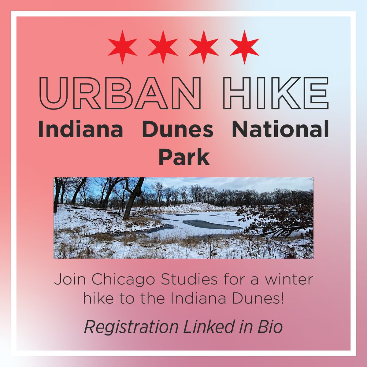 Chicago Studies tweet media