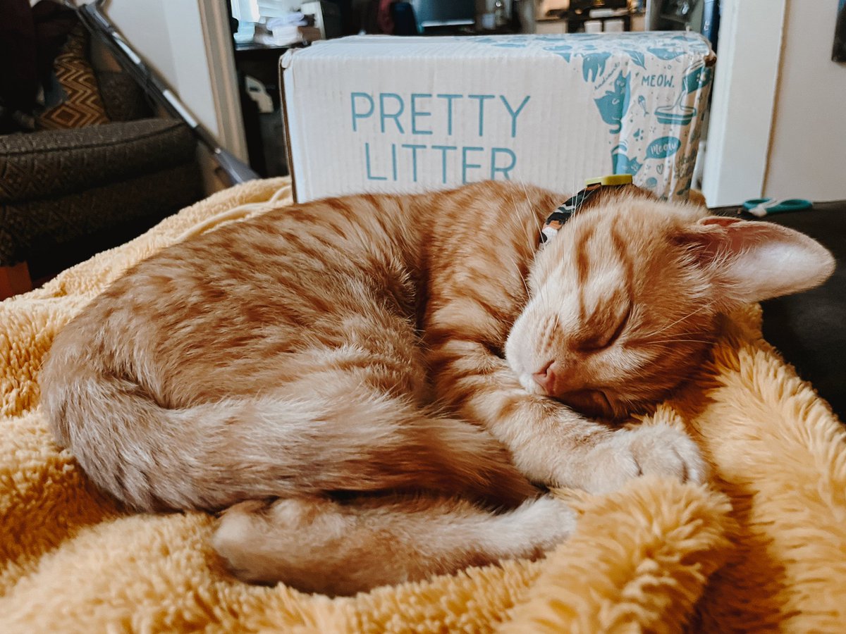 He’s trying to sign that <a href="/PrettyLitter/">PrettyLitter</a> modeling contract