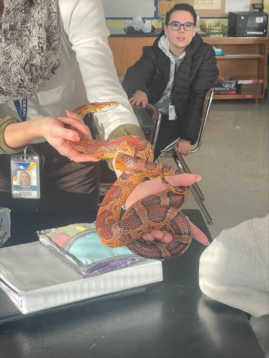 GFMS_info tweet media