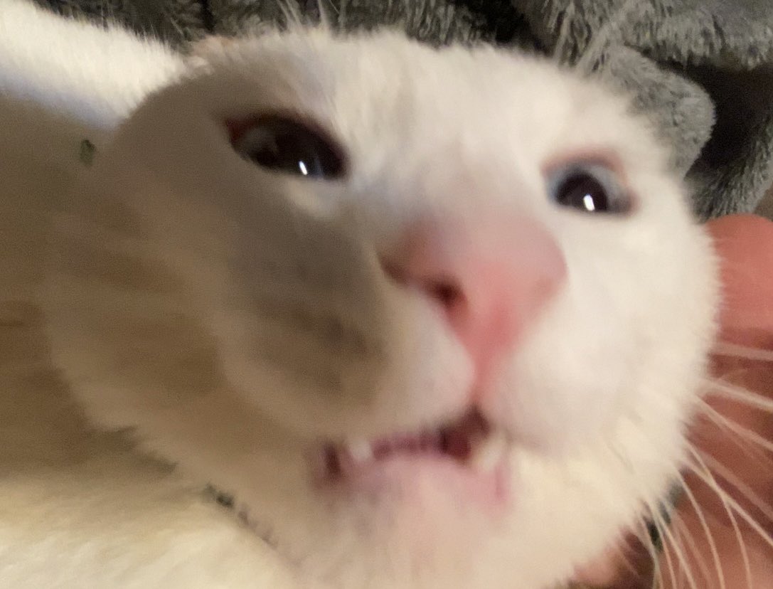 tooke a Brake from poasting amd i Am Back