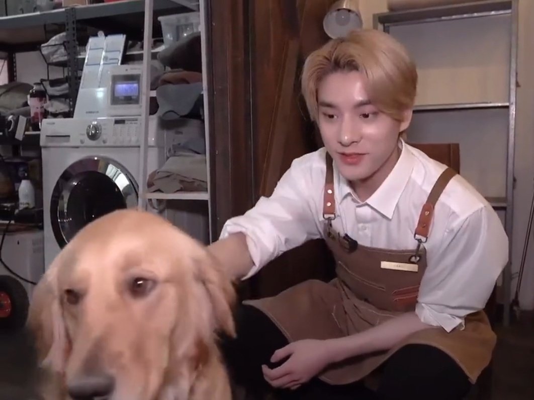 jaeyundoII's tweet photo. jale with puppies! 🐾 https://t.co/PWVSzBDQbw