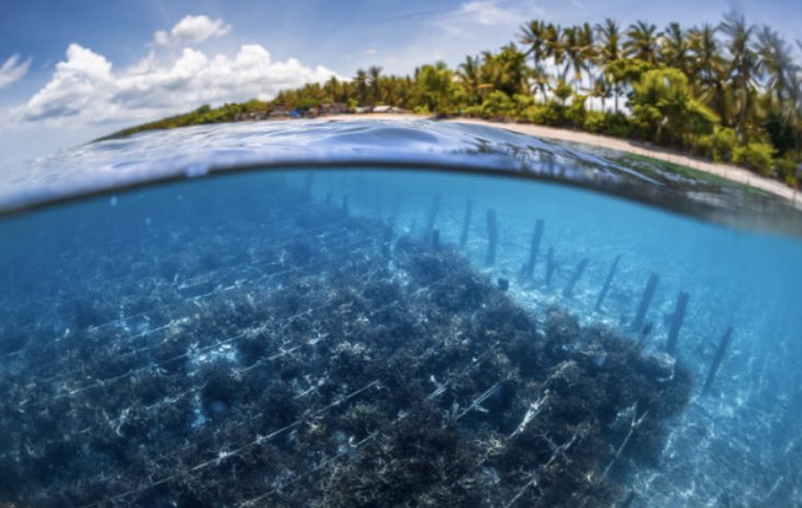 Sara Laughter tweet media