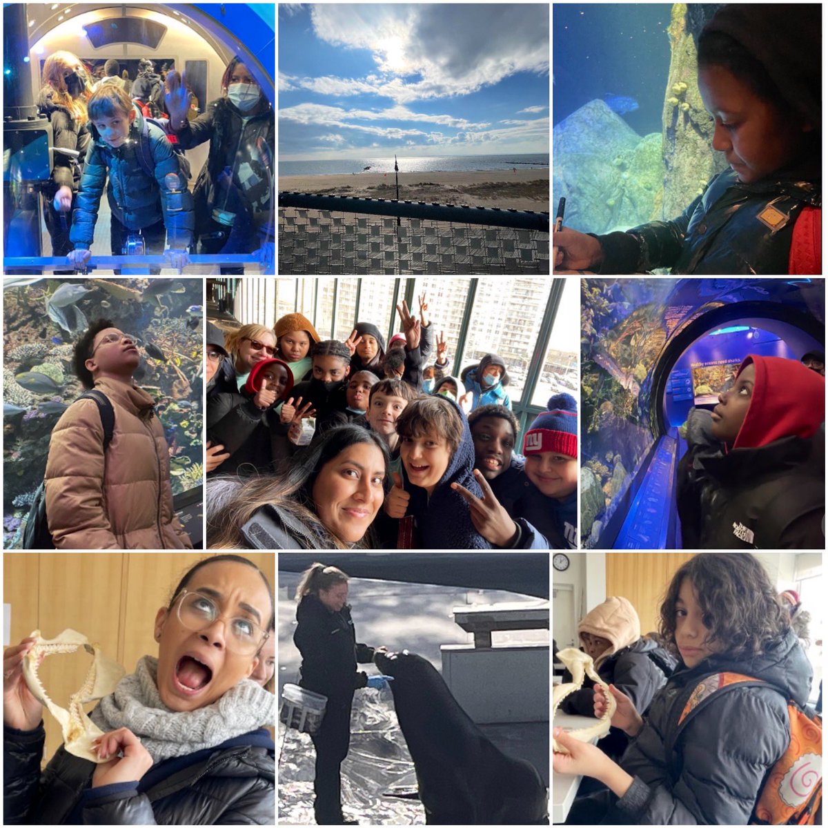 UNMSRocks's tweet photo. The city is our classroom!💕🗽Today our 6th graders visited the New York Aquarium 🦈 , our 7th graders visited AMNH 🦕, and our 8th graders went ice skating ⛸️. #unmsfun #unmstrips #unmsbuildscommunity #unmslearns https://t.co/MtwDwW3xG5