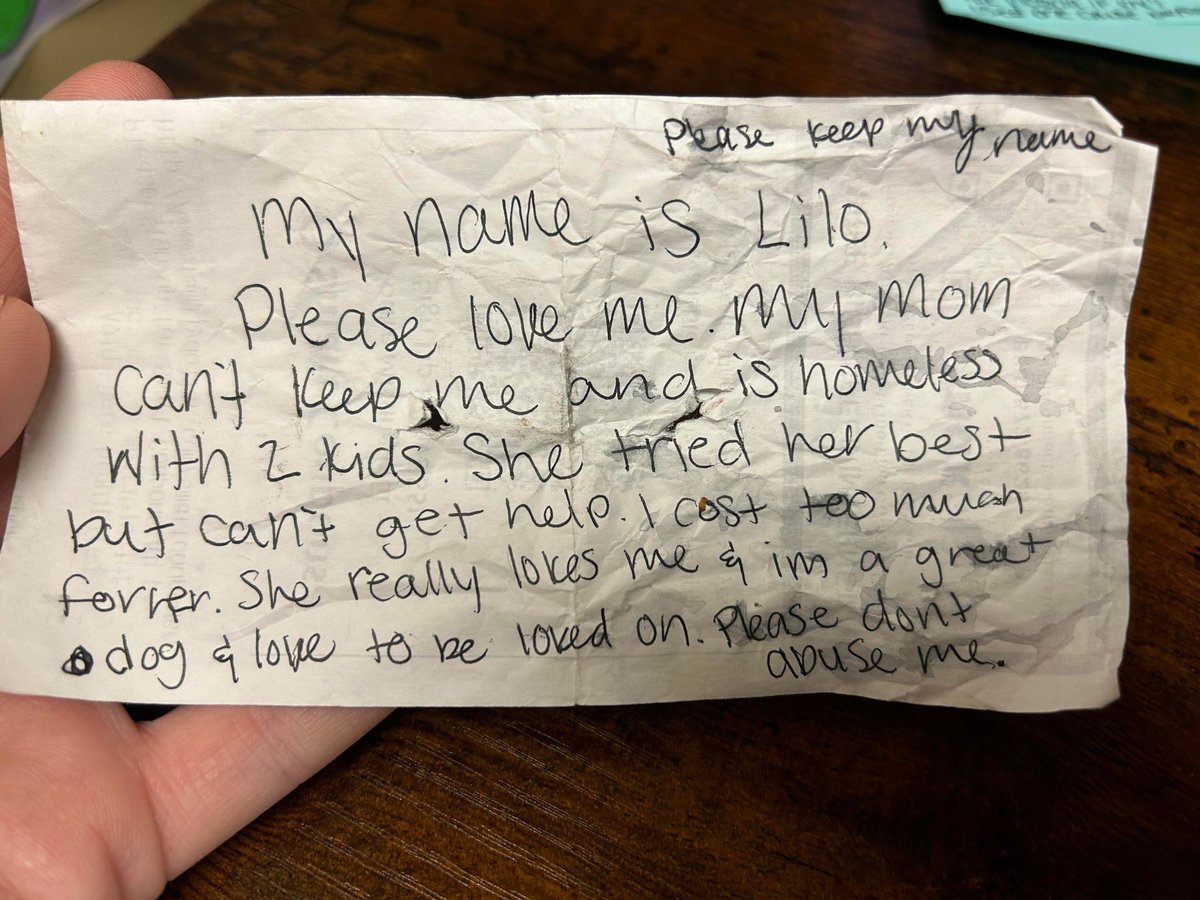 wsvn's tweet photo. REUNITED: Lilo, the dog found abandoned with a heartbreaking note attached to her collar, has been reunited with her family. https://t.co/9iiGJtQuoa https://t.co/2RaaEDsHIS