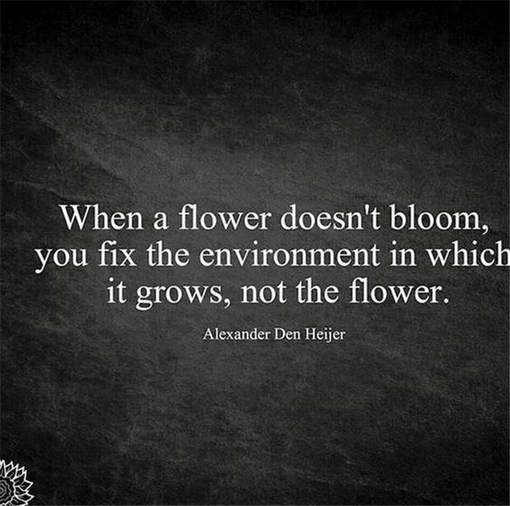 Remember the environment your in matters...
#ThoughtForTheDay #life #quotes #quote #lifelessons