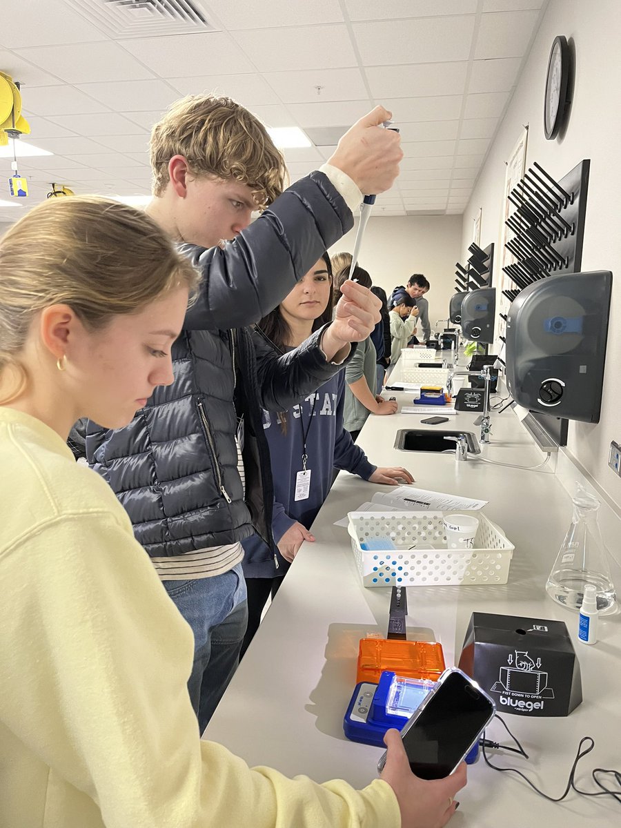 WarriorBioAP's tweet photo. Time for the biotechnology unit where students get to DO science! I never tire of their reactions when they see the glowing green DNA bands. @minipcr kits make it so easy with great results! #sicklecelllab #minipcr #apbio @JhsWarriors @SecScienceKISD @swagnerscience @katyisd https://t.co/4yGcdUckRR