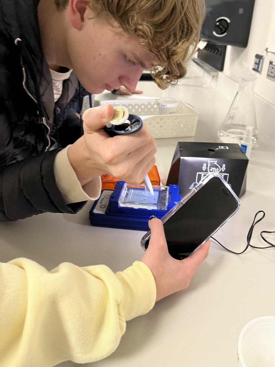 Time for the biotechnology unit where students get to DO science! I never tire of their reactions when they see the glowing green DNA bands. <a href="/minipcr/">miniPCR bio</a>  kits make it so easy with great results! #sicklecelllab #minipcr #apbio <a href="/JhsWarriors/">Jordan High School</a> <a href="/SecScienceKISD/">Tina Hovance</a> <a href="/swagnerscience/">Sherri Wagner</a> <a href="/katyisd/">Katy ISD</a>