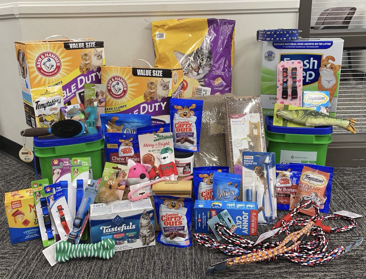 monicajdiaz's tweet photo. For The #GreatKindnessChallenge, @mvesmustangs donated to our local @MVHumaneSociety! What a great turnout! 🐶🦴🐱 #romogrows https://t.co/QeONJ2vwUf