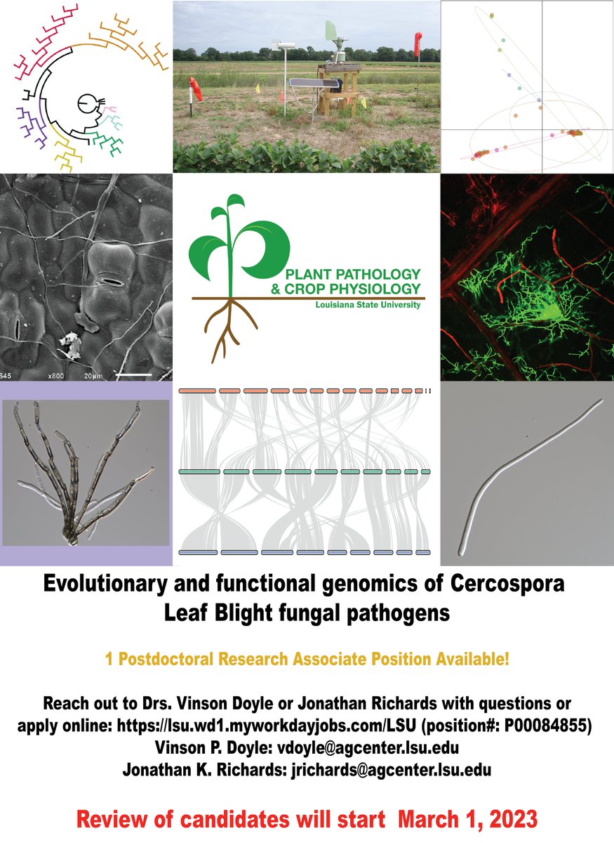 Jonathan Richards tweet media