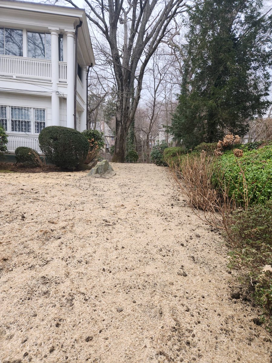 PadillaInc's tweet photo. Extraordinary service for extraordinary customers

#padilla #treewhisperer https://t.co/GhM03k1FYm