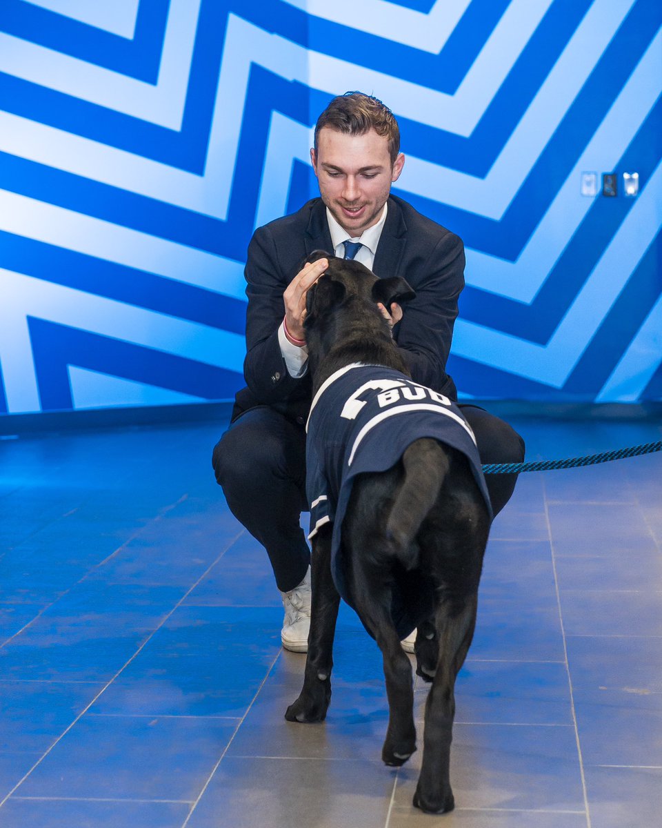 Toronto Maple Leafs tweet media