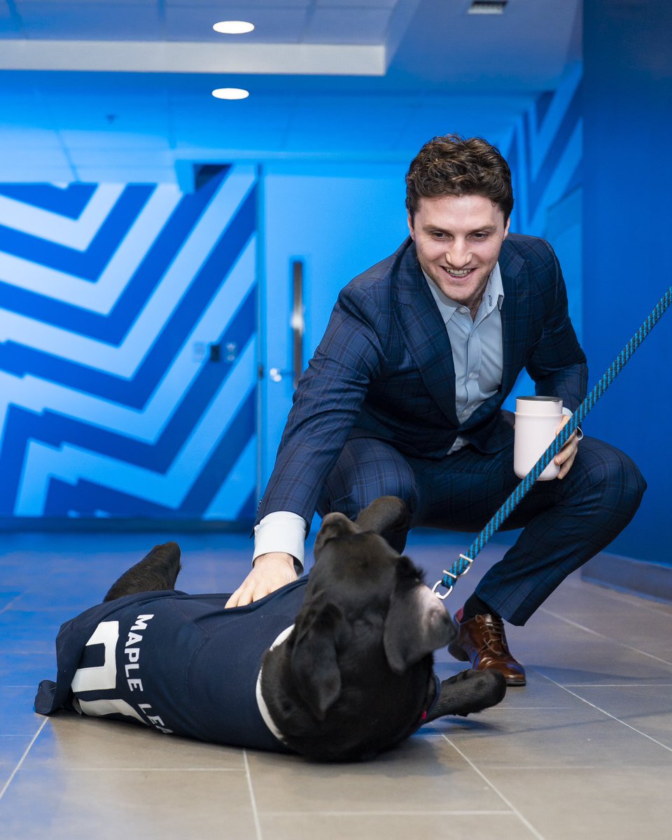 Toronto Maple Leafs tweet media